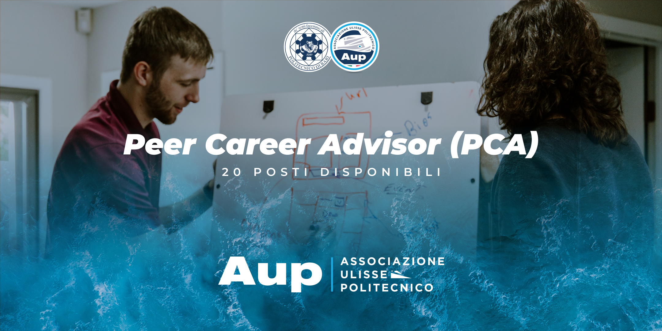 PEER CAREER ADVISOR - BANDO 